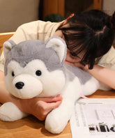 Ghadzi Cute Husky Plush Soft Toy & Cuddly Teddy for Kids